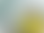 helot_1_banner_neu